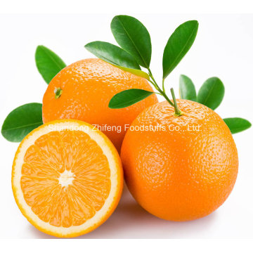 Naranja china de calidad fresca Navel